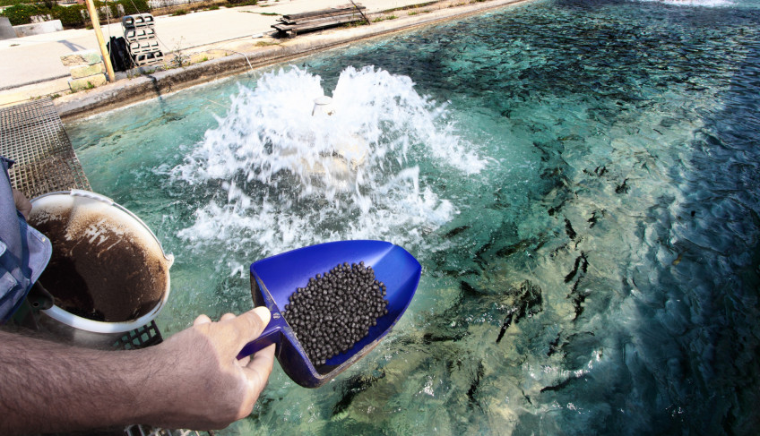 Sebrae-SP realiza Workshop de Aquicultura no Vale do Ribeira