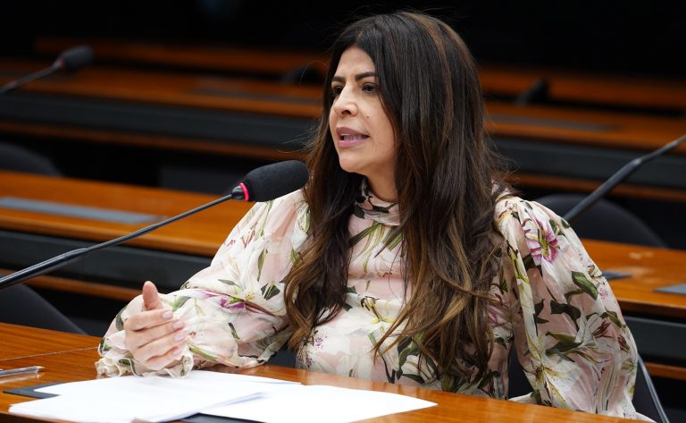 Comissão vai debater sustentabilidade do mercado brasileiro de carbono