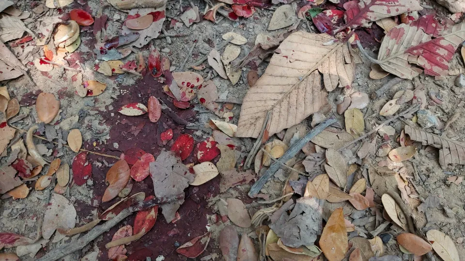Mulher é morta a tiros em Jijoca de Jericoacoara, no Ceará