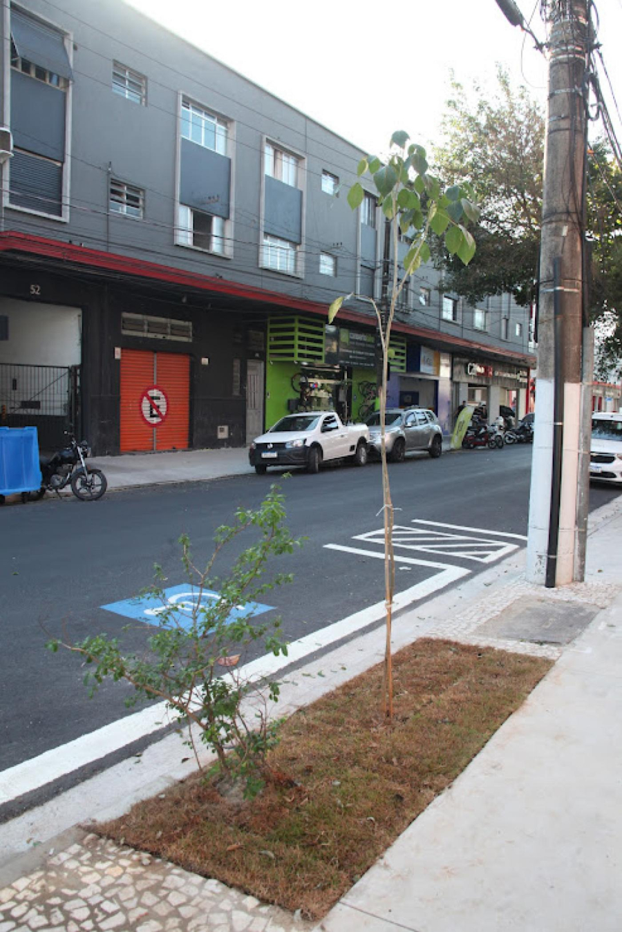 Rua Joaquim Távora, em Santos, ganha 57 novos ipês